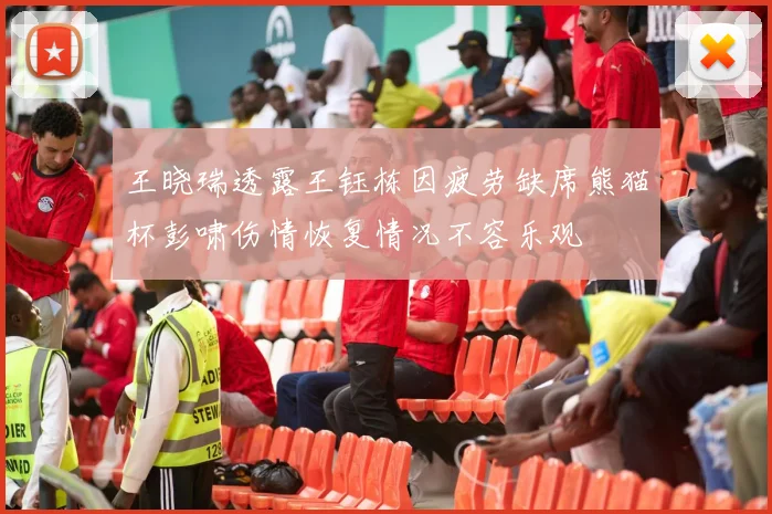 王晓瑞透露王钰栋因疲劳缺席熊猫杯彭啸伤情恢复情况不容乐观