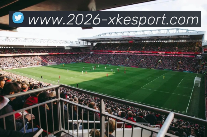 解说：斯普利特需加强细节杨瀚森有潜力成为战术核心发起点